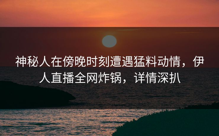神秘人在傍晚时刻遭遇猛料动情，伊人直播全网炸锅，详情深扒