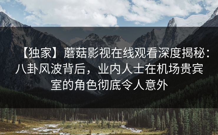 【独家】蘑菇影视在线观看深度揭秘：八卦风波背后，业内人士在机场贵宾室的角色彻底令人意外